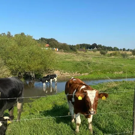 別荘 In Gelderland With Fenced Garden