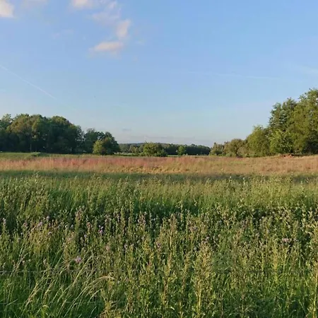In Gelderland With Fenced Garden * Plasmolen