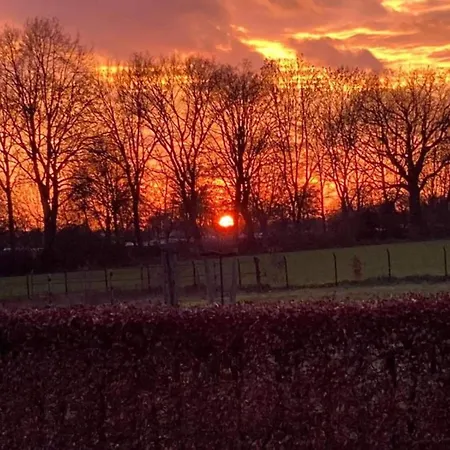 別荘 In Gelderland With Fenced Garden
