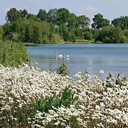 In Gelderland With Fenced Garden 別荘 *