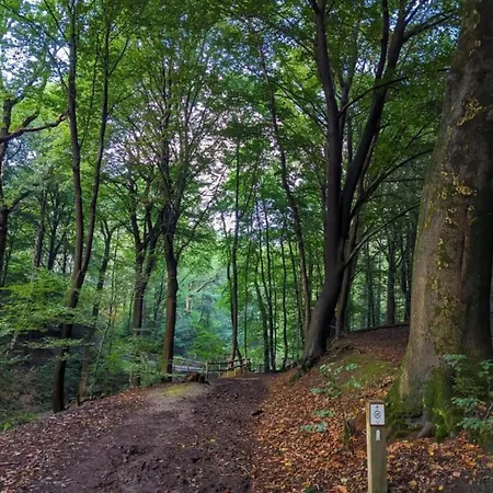 別荘 In Gelderland With Fenced Garden Plasmolen