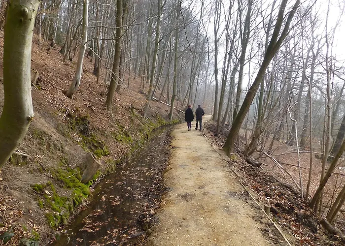 In Gelderland With Fenced Garden Plasmolen