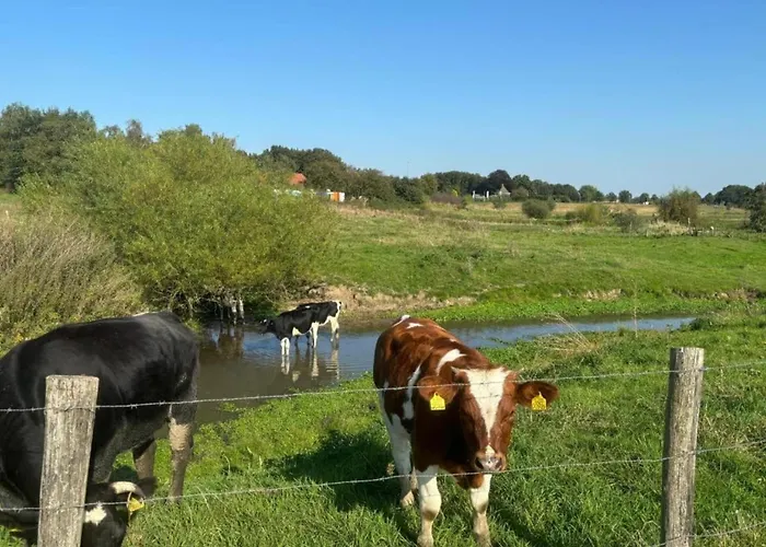 Сasa de vacaciones In Gelderland With Fenced Garden