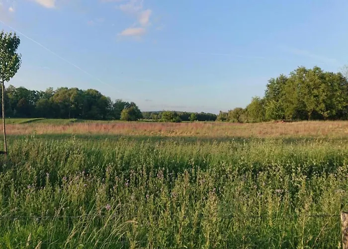 In Gelderland With Fenced Garden * Plasmolen