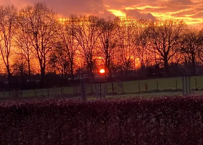 Сasa de vacaciones In Gelderland With Fenced Garden