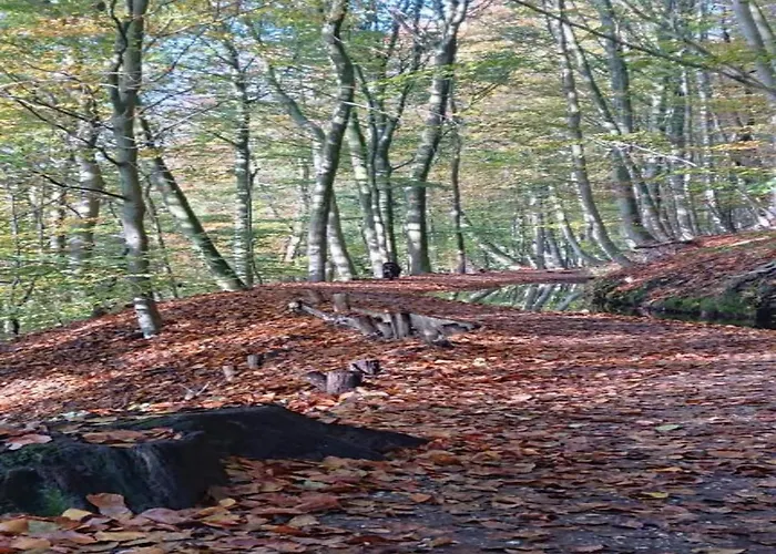 In Gelderland With Fenced Garden Сasa de vacaciones Plasmolen