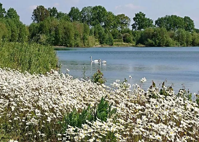 In Gelderland With Fenced Garden Сasa de vacaciones *