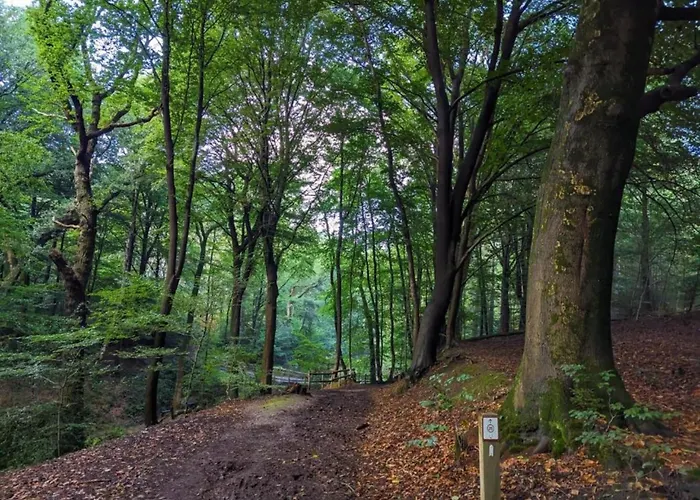 Сasa de vacaciones In Gelderland With Fenced Garden Plasmolen